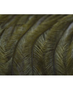 OSTRICH PLUMES - Olive